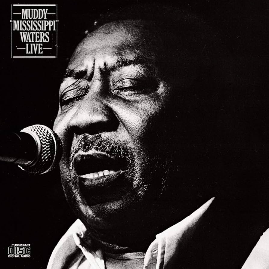 ■限定6LPボックス■MUDDY WATERS / マディーウォーターズ ■Th 11枚組LPボックス！□Muddy Waters / Muddy Waters (The Chess